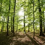 Romantik Landschloss Fasanerie Hotel 4*