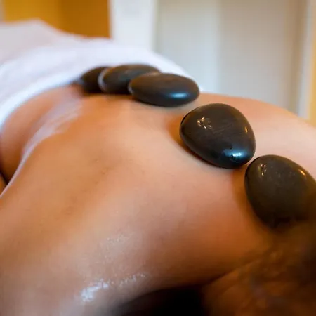 Romantik Landschloss Fasanerie Hotel 4*