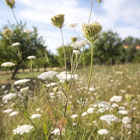 Romantik Landschloss Fasanerie 호텔