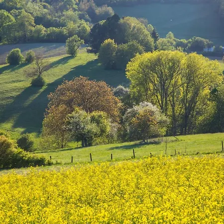 Romantik Landschloss Fasanerie 호텔