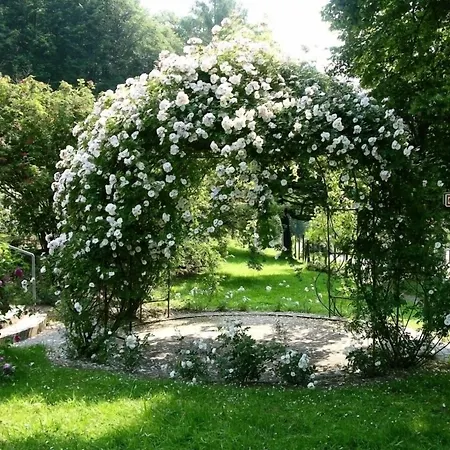 Otel Romantik Landschloss Fasanerie 4*