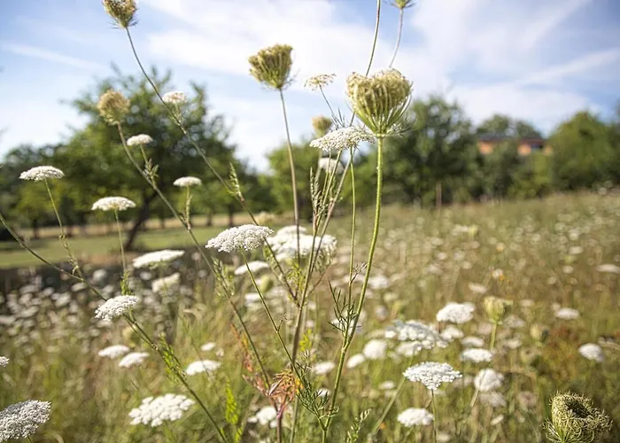 Romantik Landschloss Fasanerie Hotel