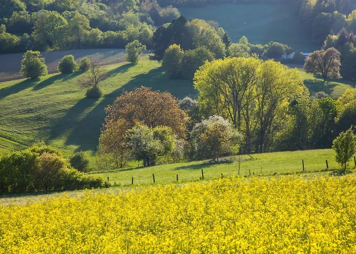 Romantik Landschloss Fasanerie Hotel