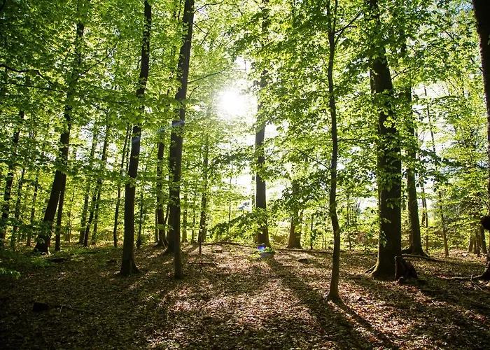 法萨奈瑞兰德城堡罗曼蒂克酒店 酒店 4*