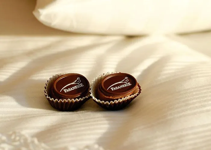 Hotel Romantik Landschloss Fasanerie Zweibrücken